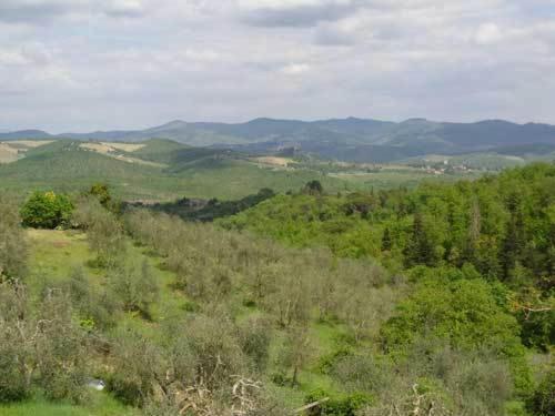 Borgo Carpineto Bed & Breakfast Vagliagli Exterior photo